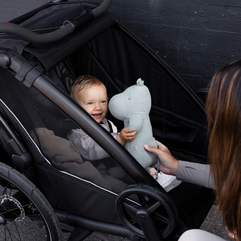 Thule Chariot Sport 2 Single