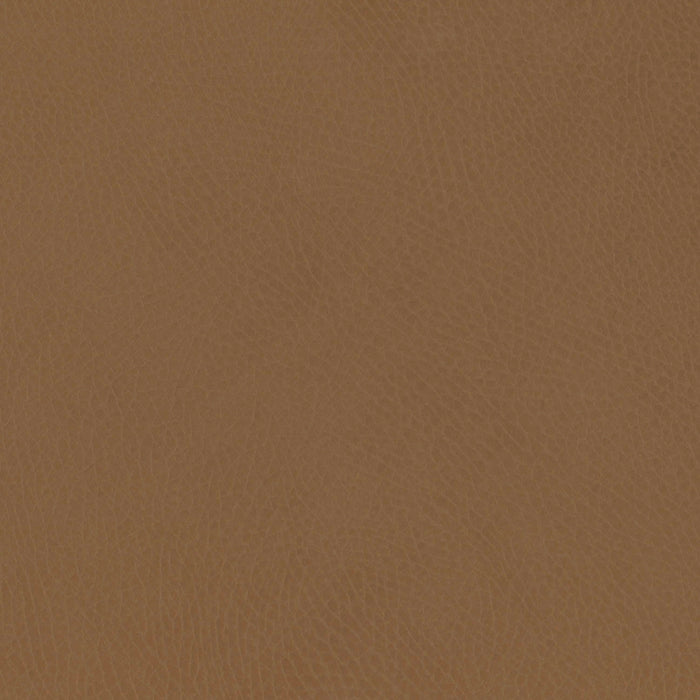 M26834GCLB,Babyletto,babyletto x GATHRE Capsule Bassinet in Camel