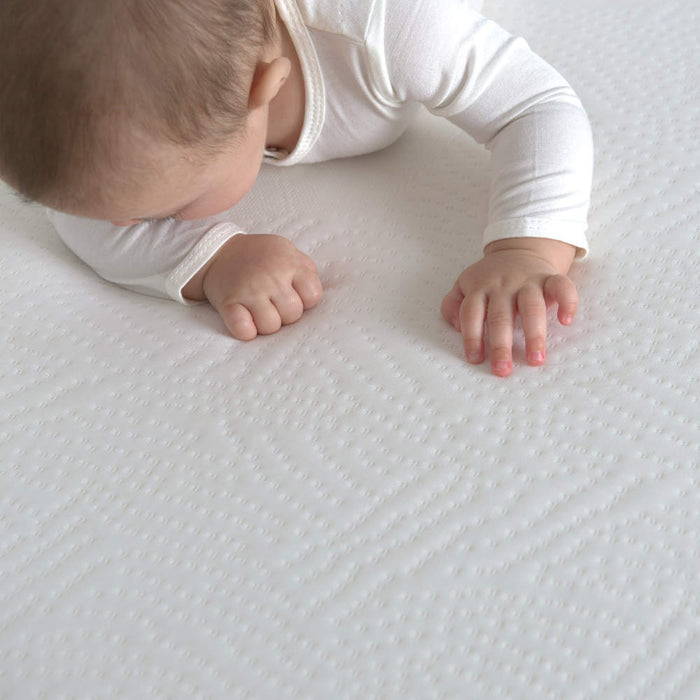 Bundle of Dreams Organic Cotton Fitted Crib Sheet