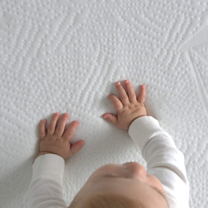 Bundle of Dreams Organic Cotton Fitted Crib Sheet
